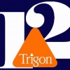 Trigon Associates