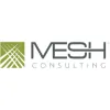 MESH Consulting