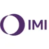 IMI Flow Design