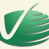 Engineering Services Of VT